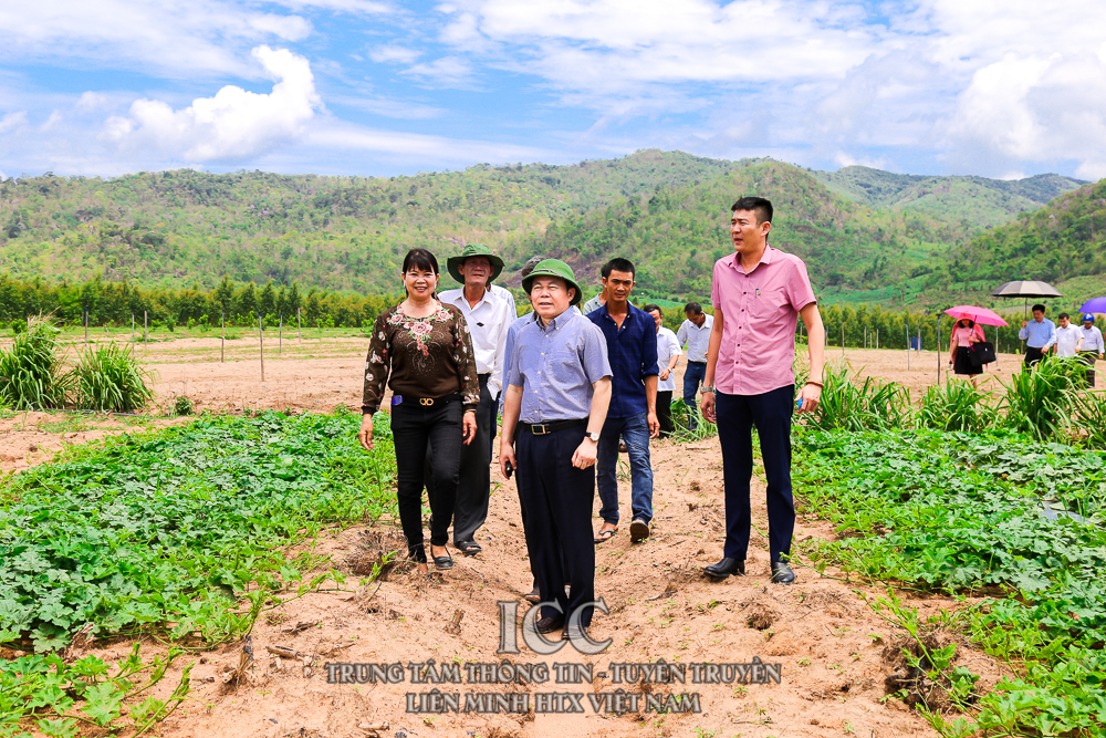 Sự kiện Quý II